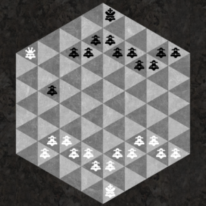 Pawn can be promoted to a Queen if it reaches the back row of spaces touching the back sides.
